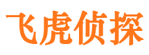 湘阴侦探公司